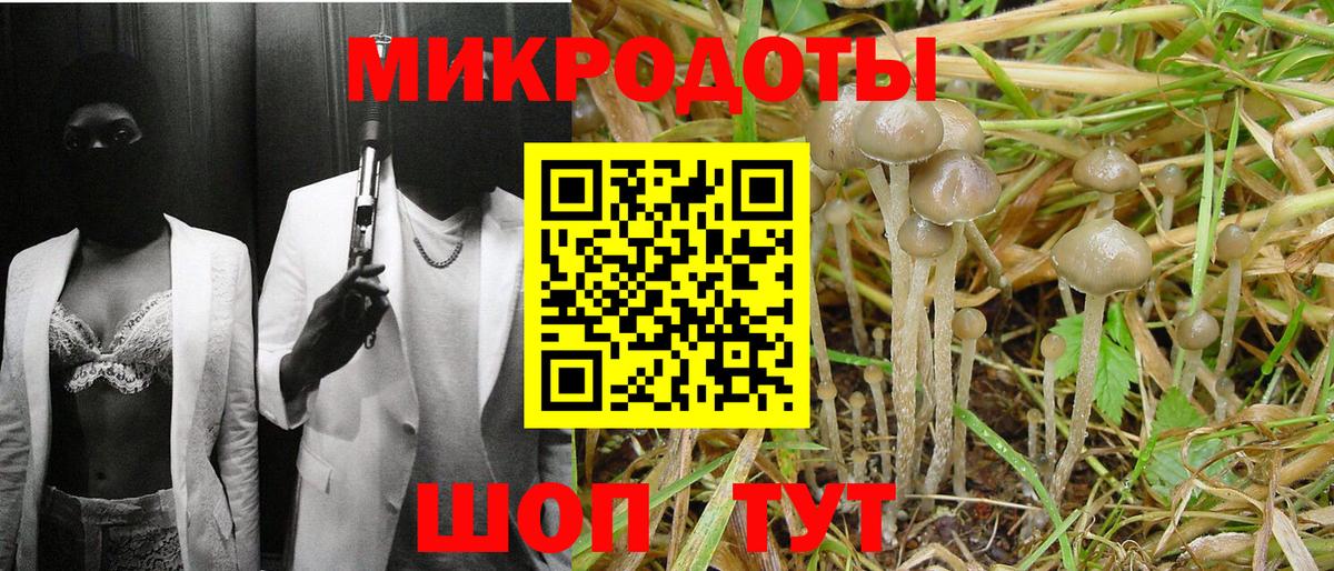 Галлюциногенные грибы Psilocybine cubensis Костомукша